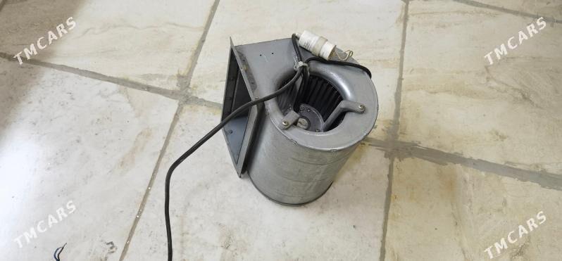 Howalandyrma ulitka вытяжка - Büzmeýin - img 5