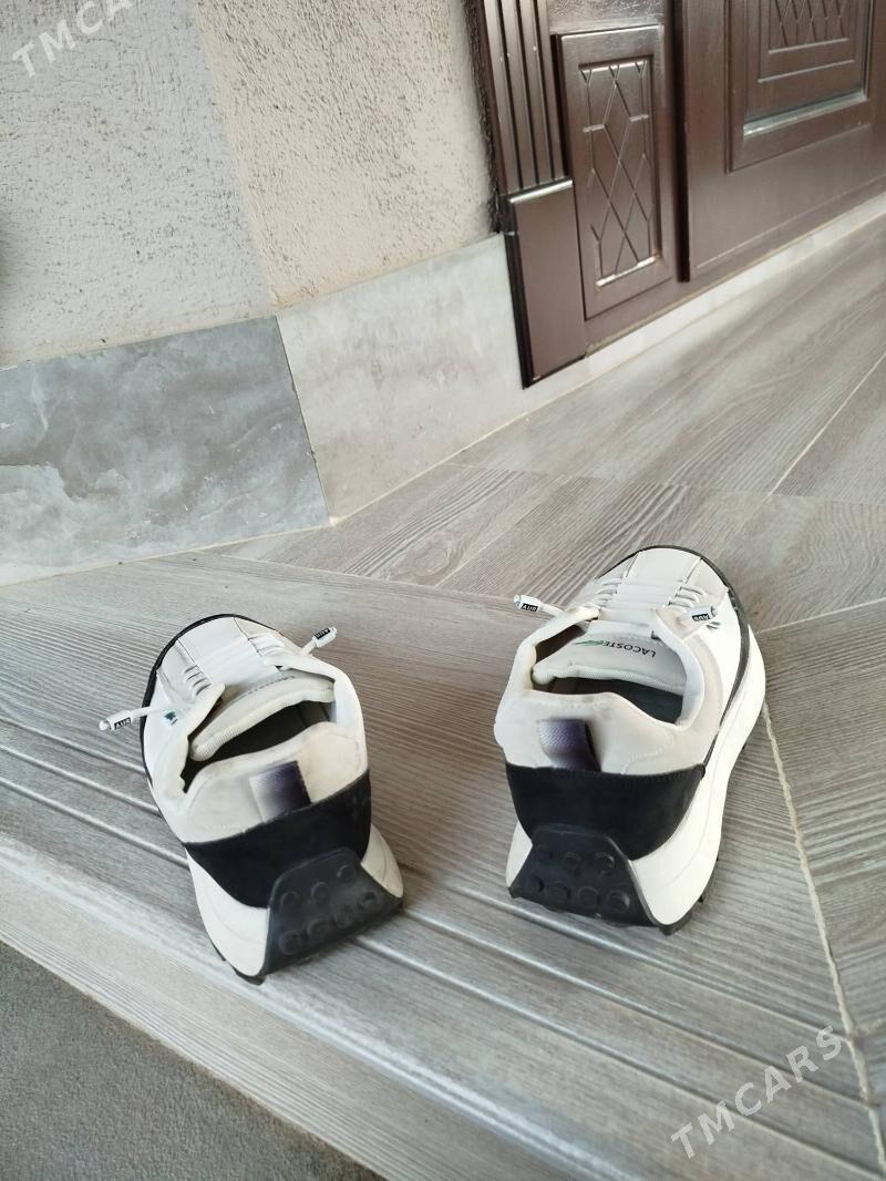 Lacoste krasowka - Mary - img 1