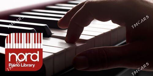 pianino пианино Nordpiano3 - Ашхабад - img 3