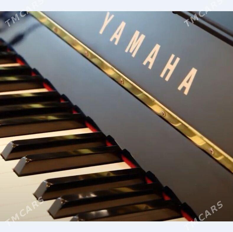 Yamaha pianino пианино - Aşgabat - img 6
