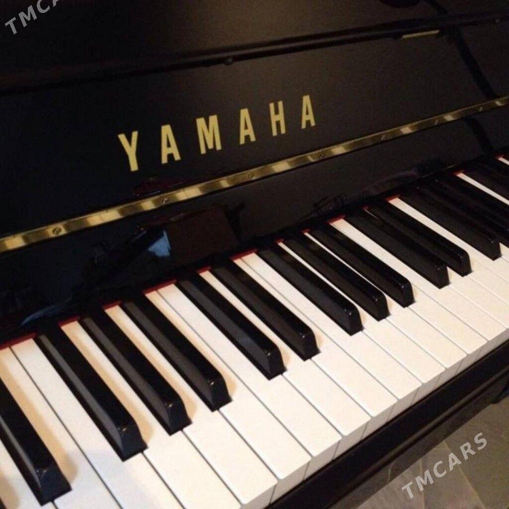 Yamaha pianino пианино - Aşgabat - img 7