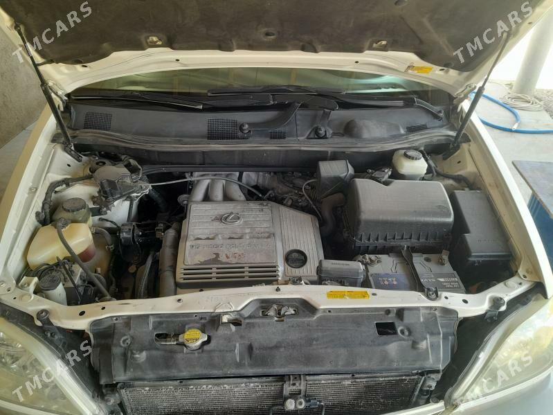 Lexus RX 300 2002 - 250 000 TMT - Магданлы - img 5