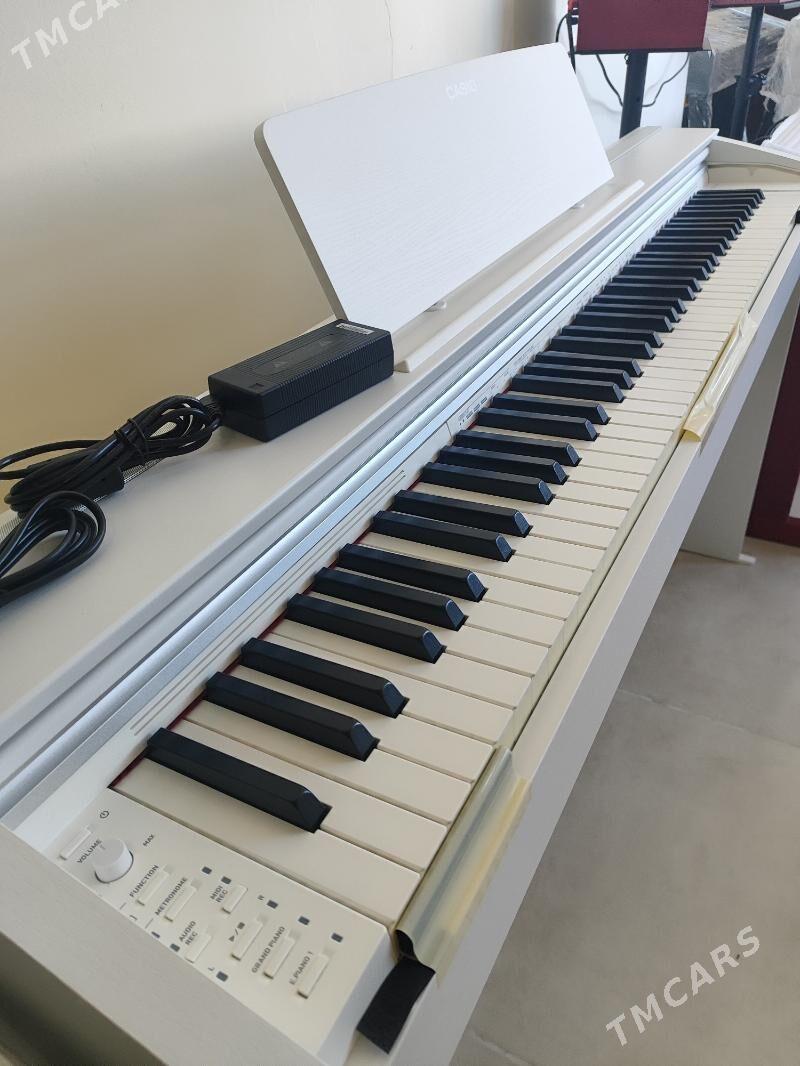 Casio electro pianino пианино - Aşgabat - img 10