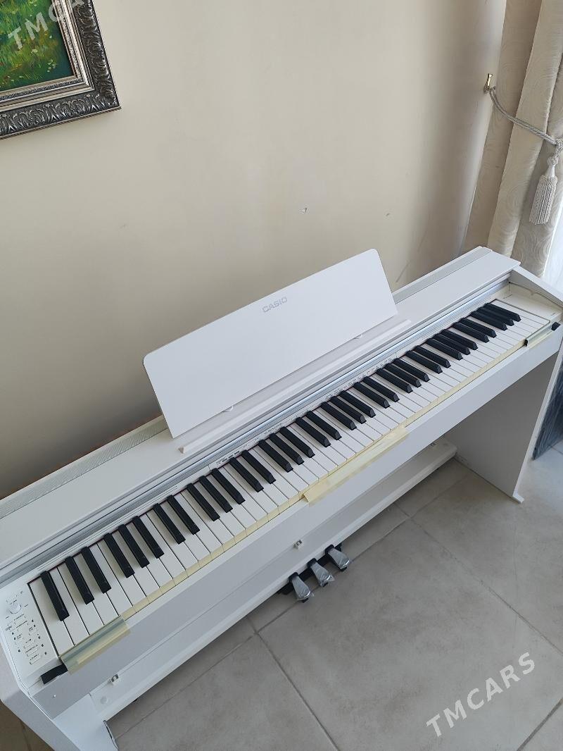 Casio electro pianino пианино - Aşgabat - img 4