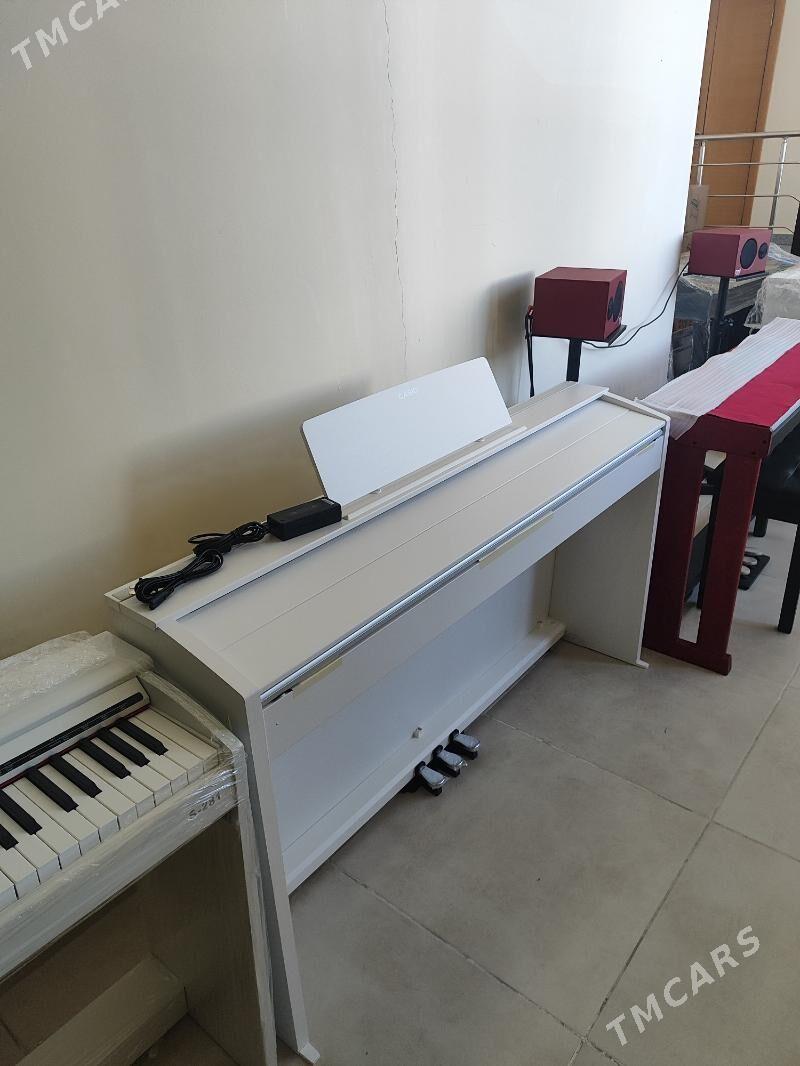 Casio electro pianino пианино - Aşgabat - img 9