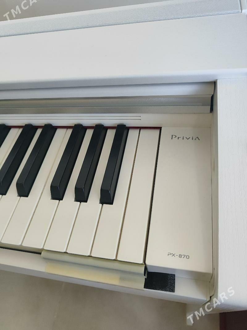 Casio electro pianino пианино - Aşgabat - img 7