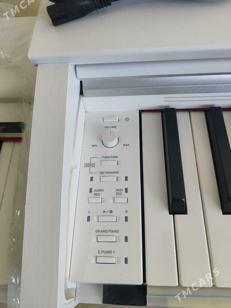 Casio electro pianino пианино - Aşgabat - img 6