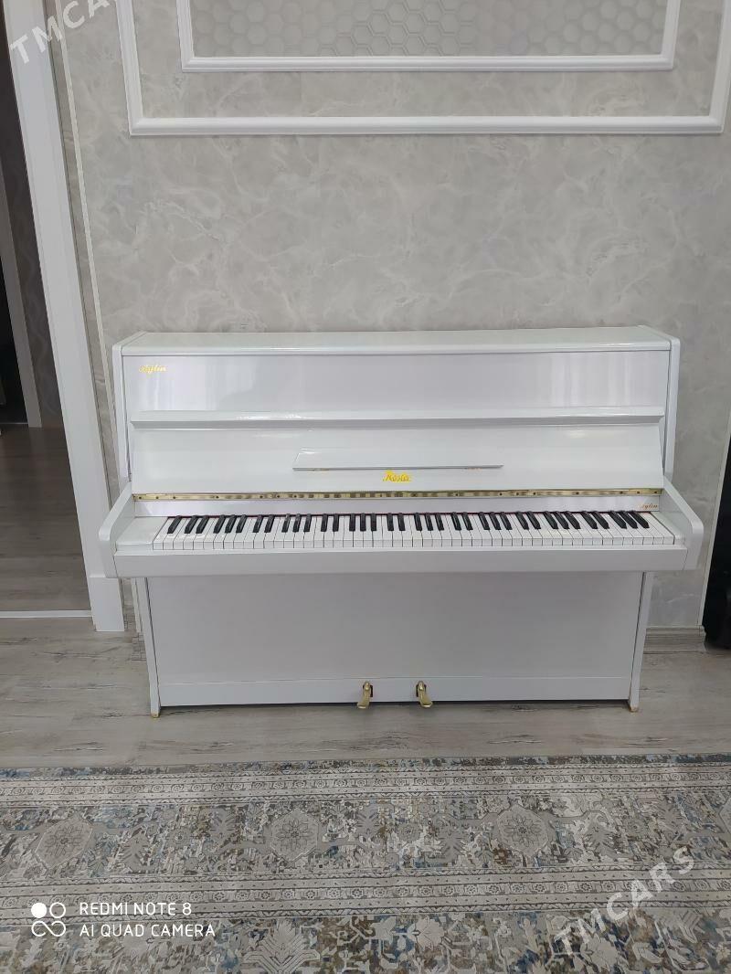 Rosler pianino пианино - Ашхабад - img 10