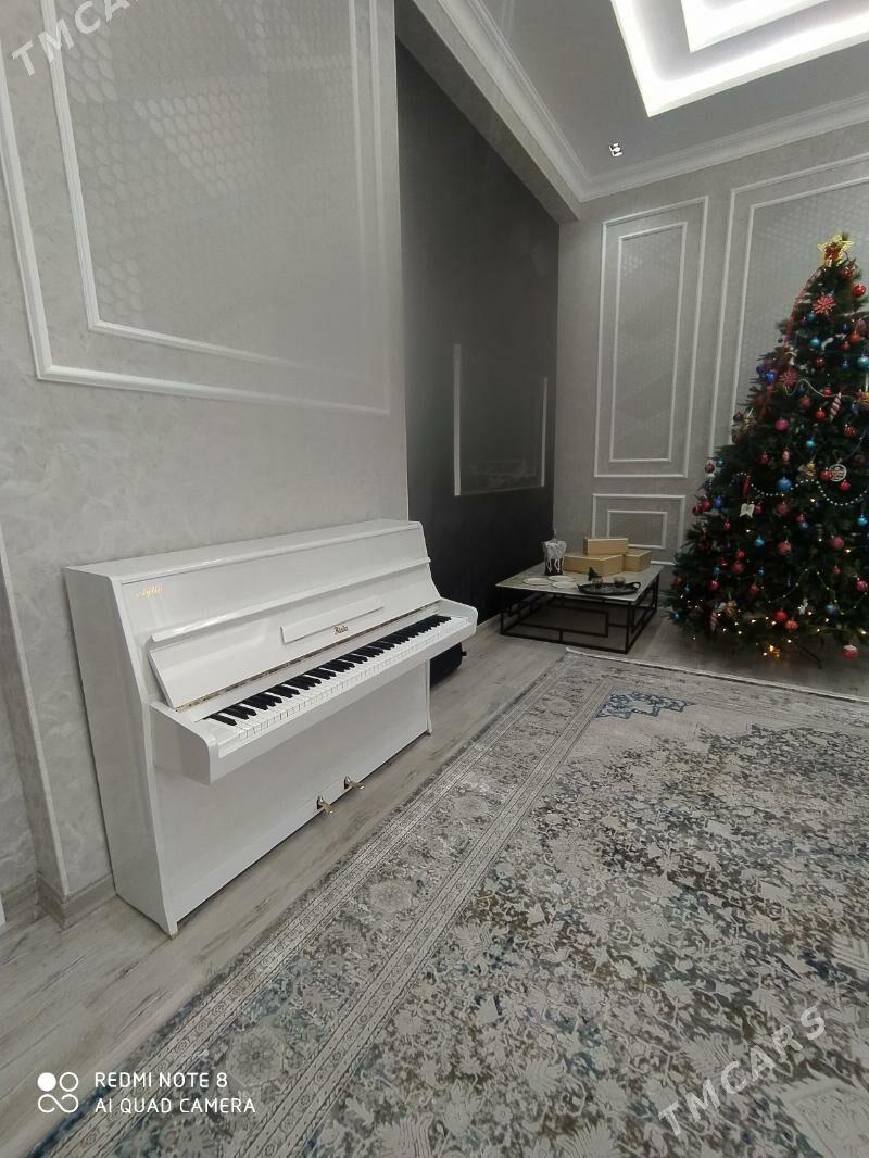 Rosler pianino пианино - Ашхабад - img 9