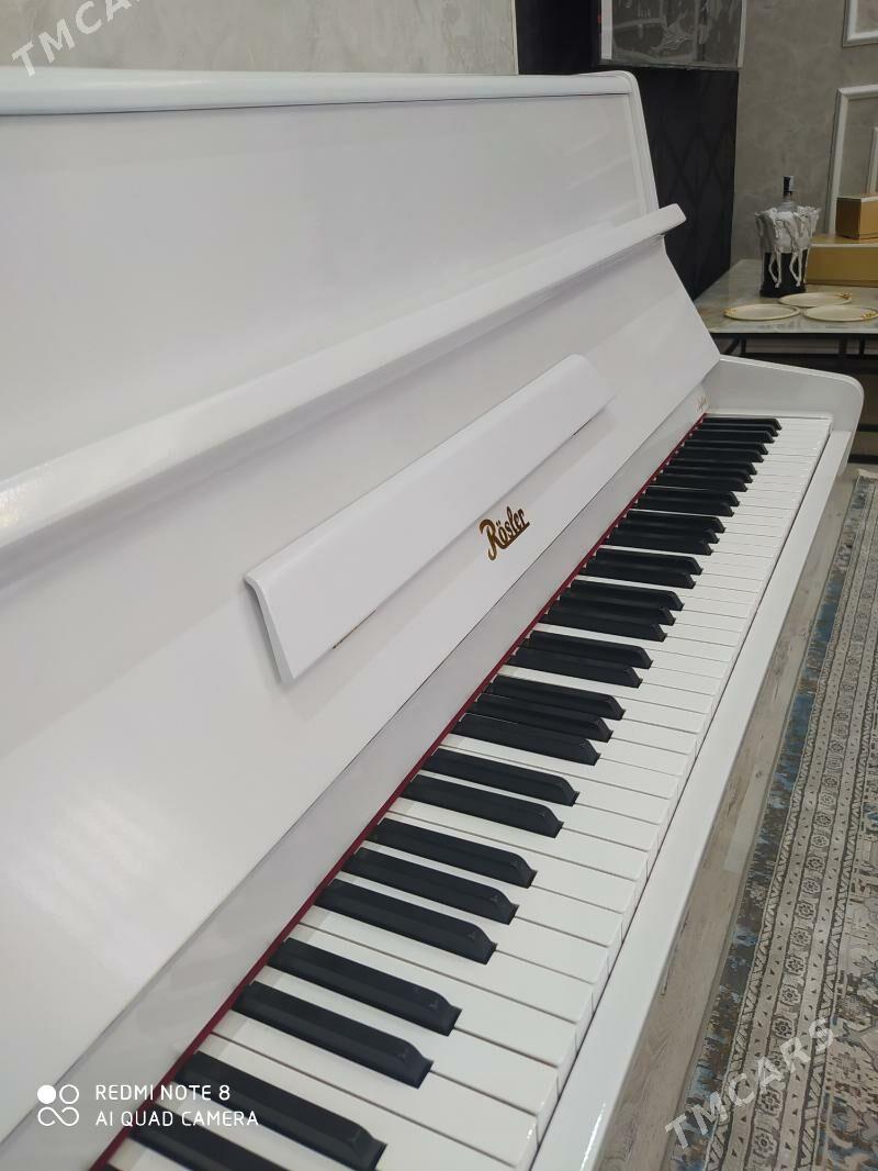 Rosler pianino пианино - Ашхабад - img 5
