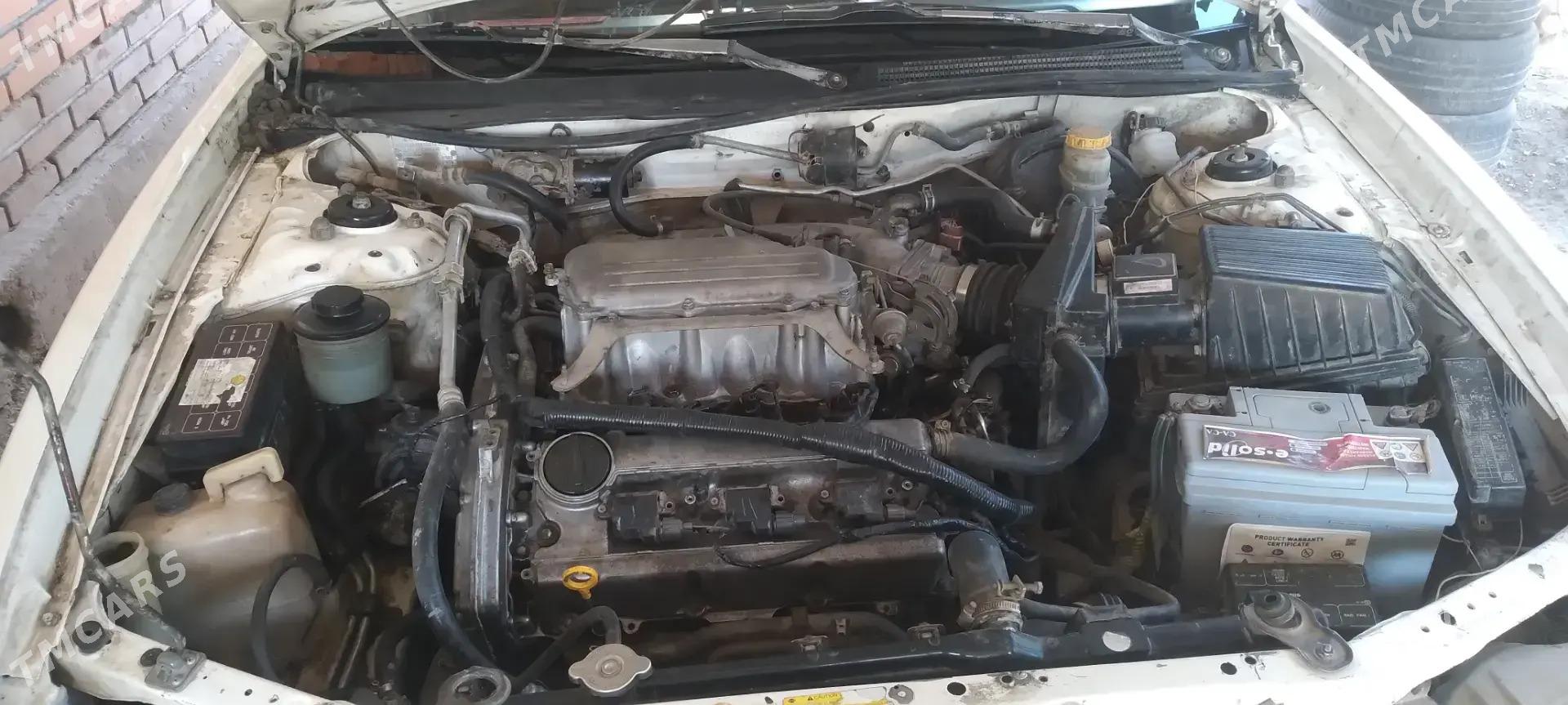Nissan Maxima 1999 - 65 000 TMT - Губадаг - img 6