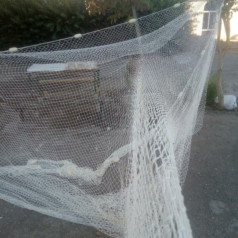 Сузме тор, бреден - Türkmenabat - img 7