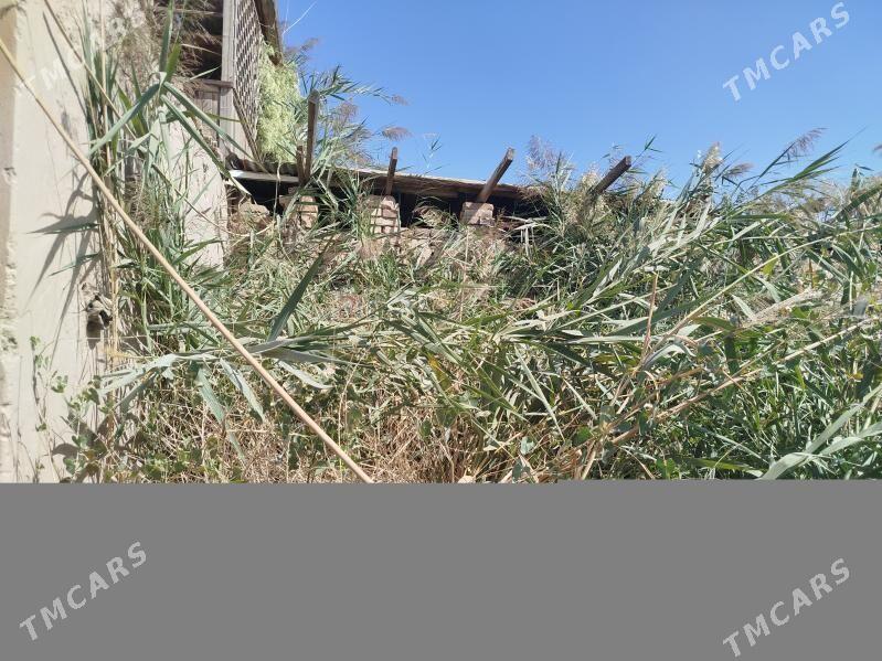Продаю дачу+коровник 6 соток - Türkmenabat - img 2