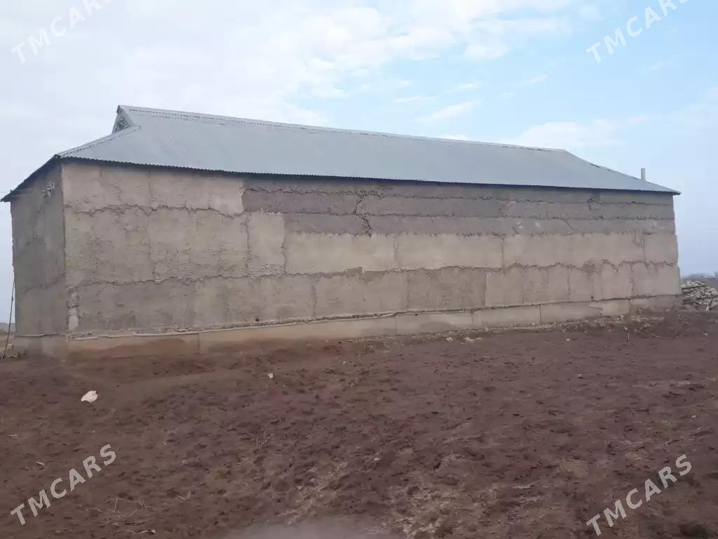 Satlyk Jaý - Теджен - img 2