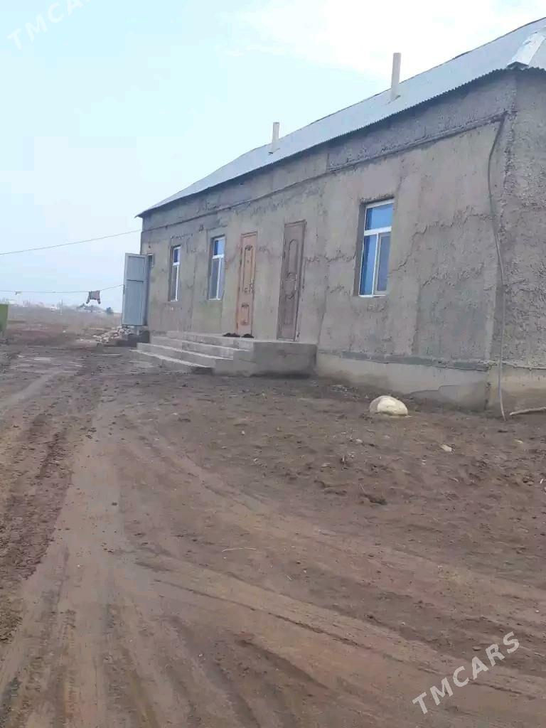 Satlyk Jaý - Теджен - img 5