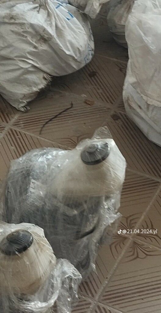 WAKUM SILINDIR 1 000 TMT - Хитровка - img 2