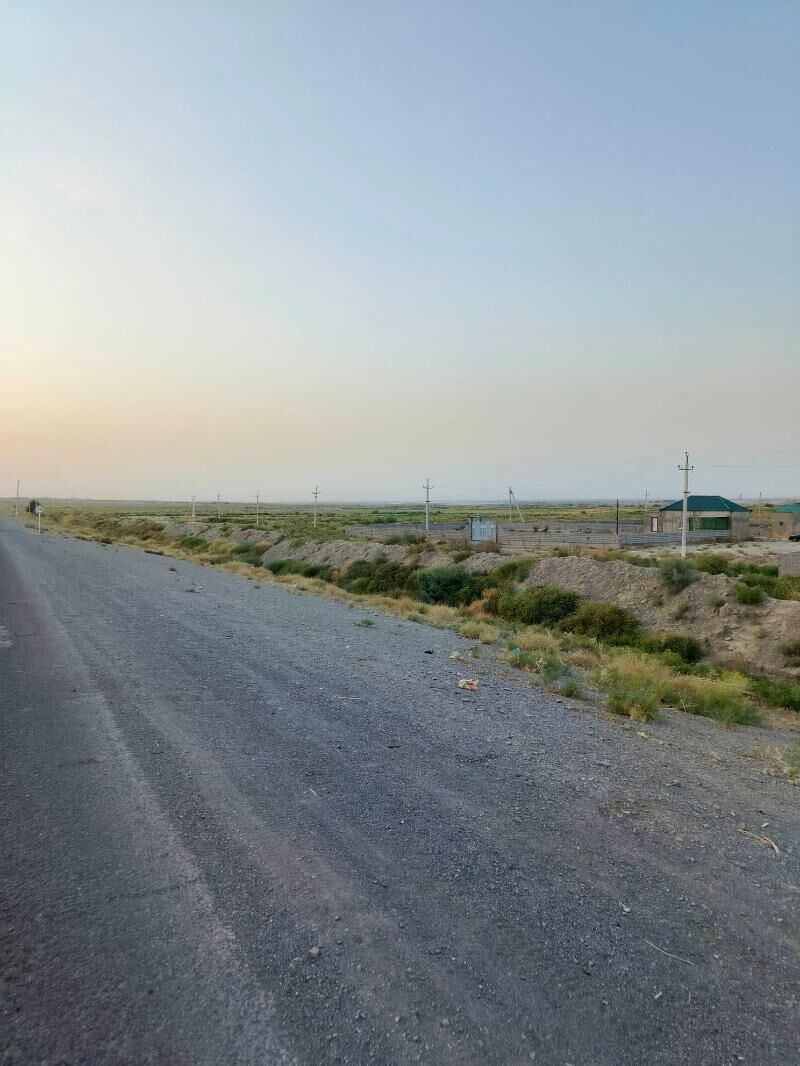 Satlyk jay - Бахарден - img 3