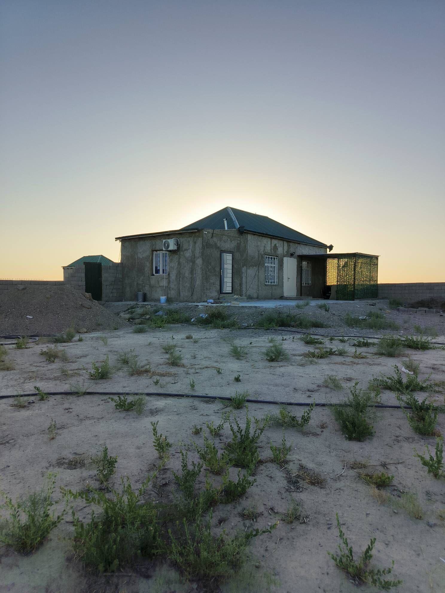 Satlyk jay - Бахарден - img 2