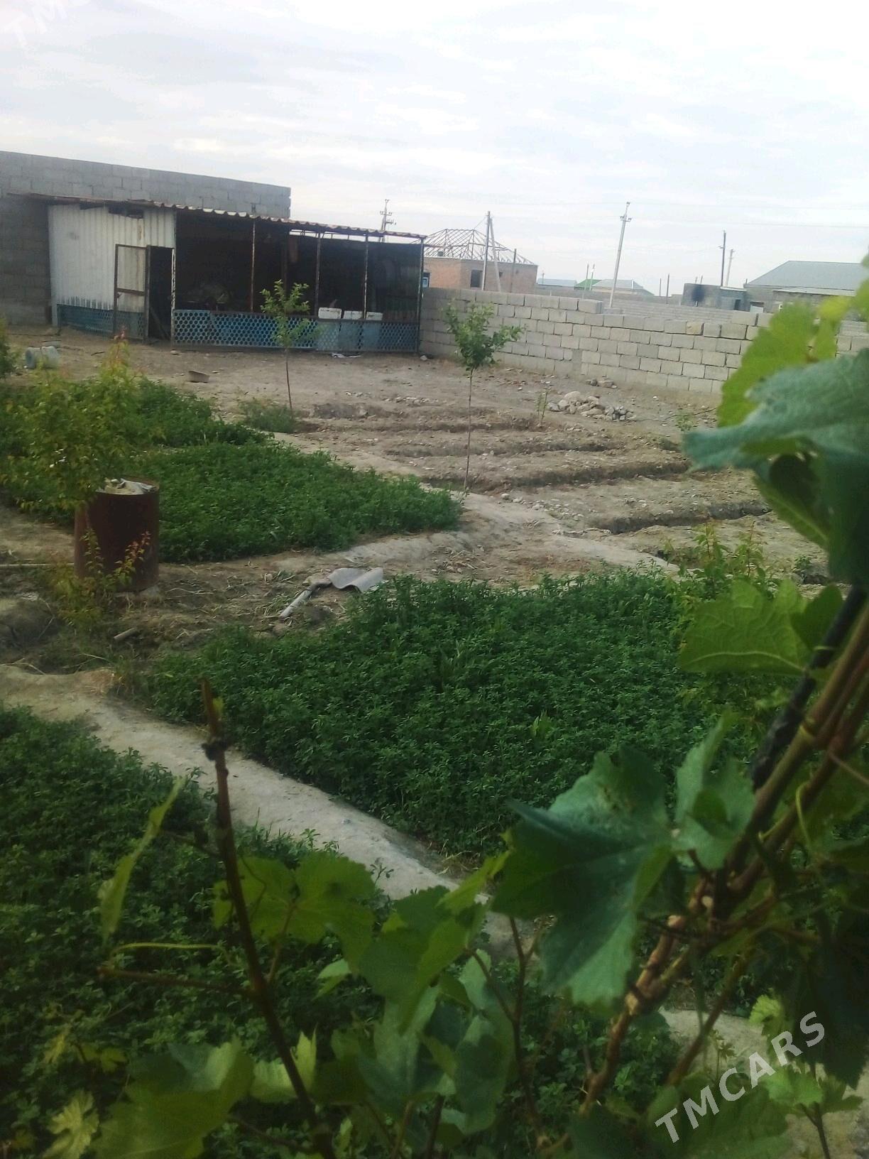 Bäherden  jaý - Бахарден - img 2