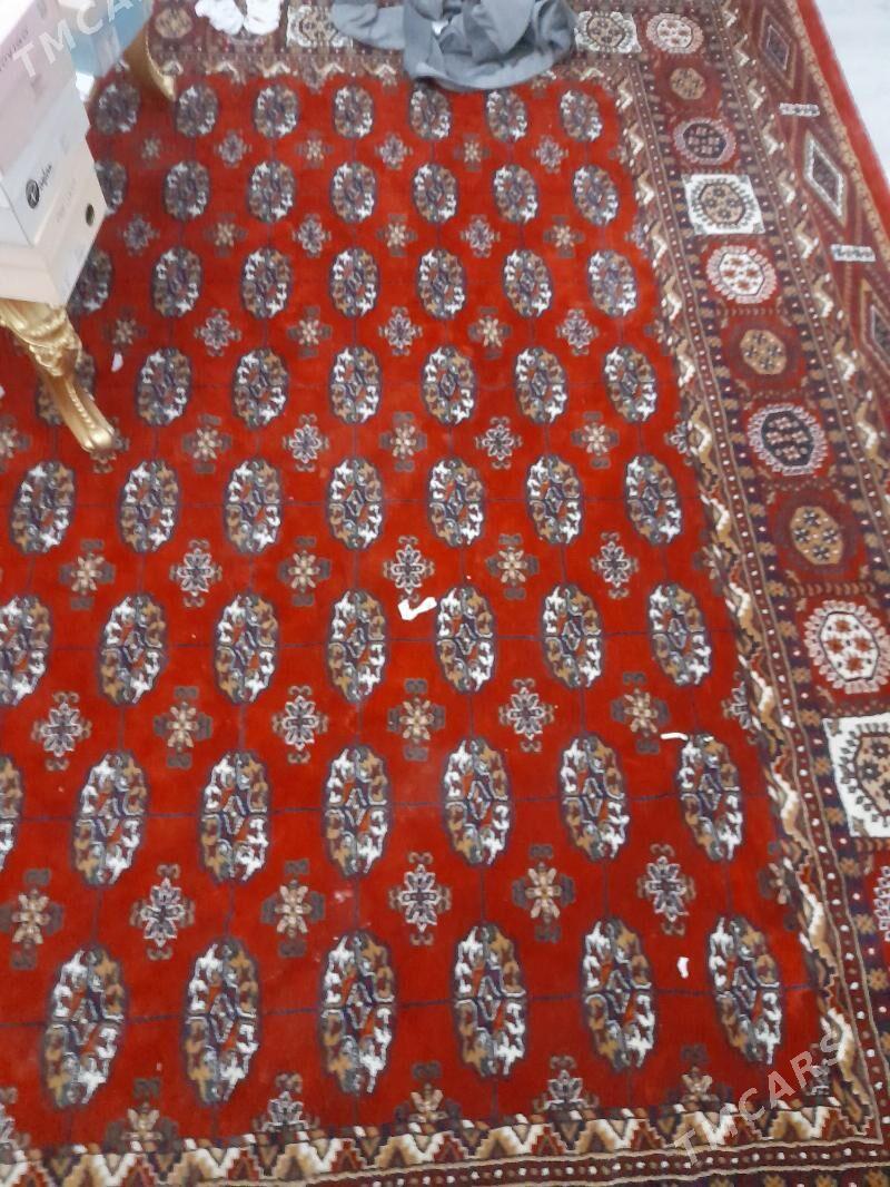 halylar - Daşoguz - img 4