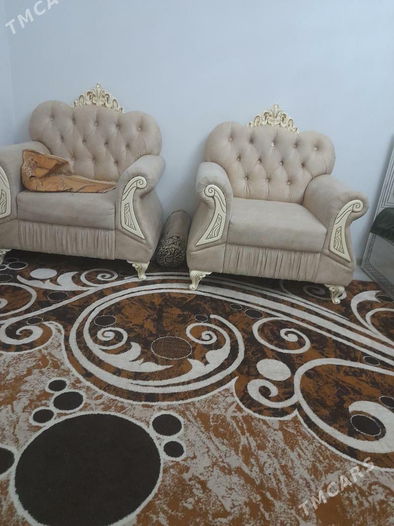 halylar - Daşoguz - img 3
