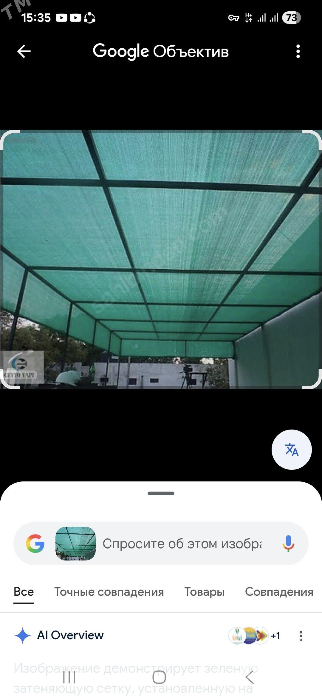 kolegelik - Bedew - img 2