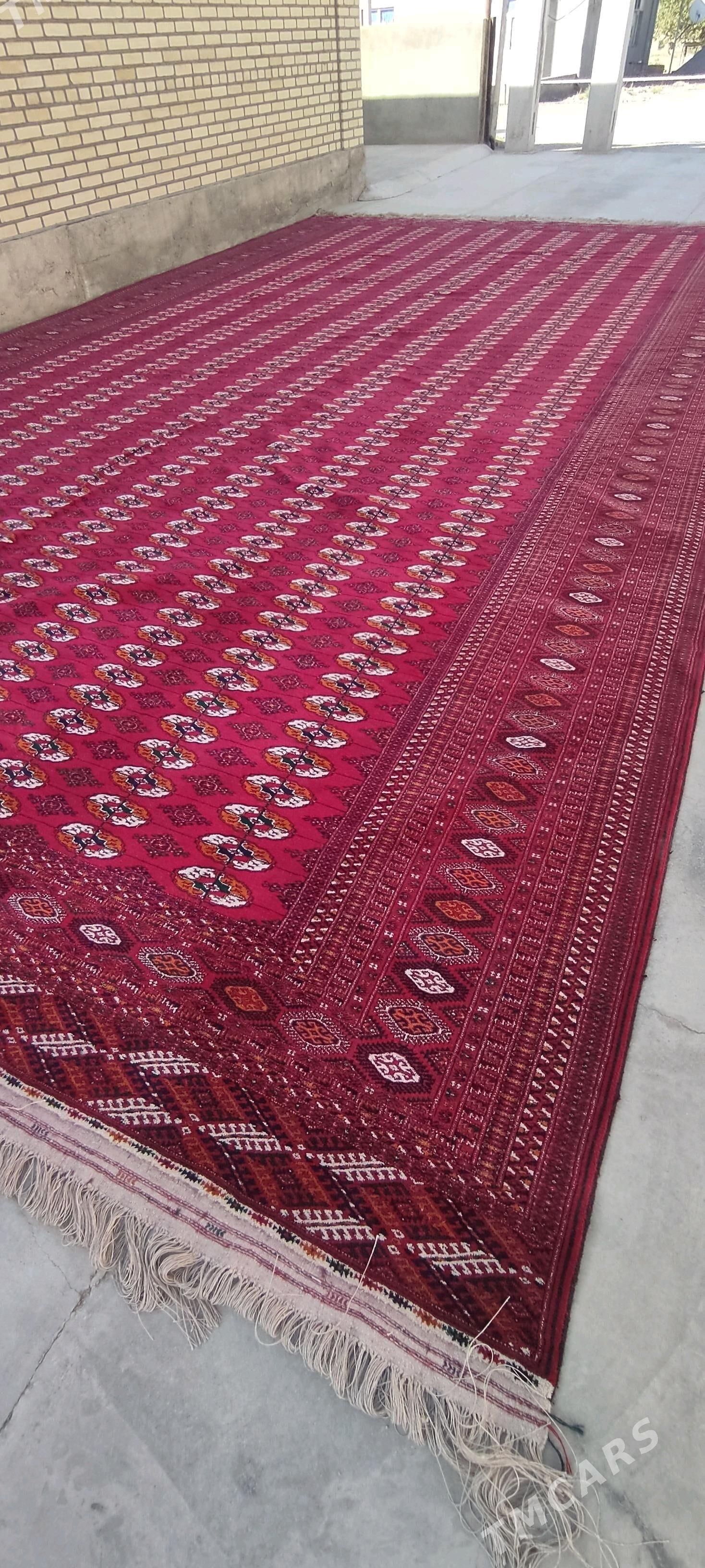 el haly 5/8 - Бахарден - img 1