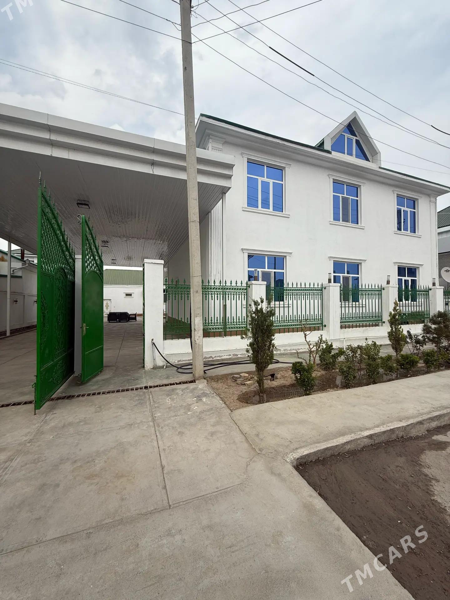 Anew Kotej  jay - Анев - img 9