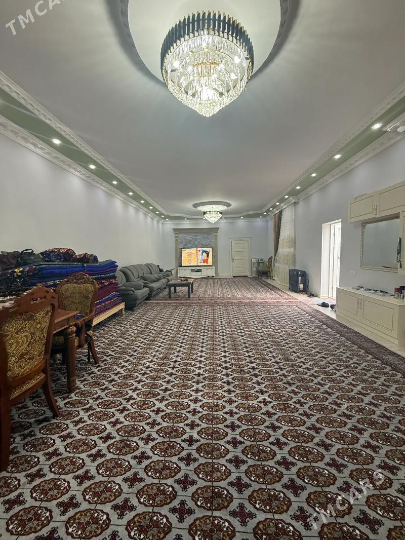 Anew Kotej  jay - Анев - img 7