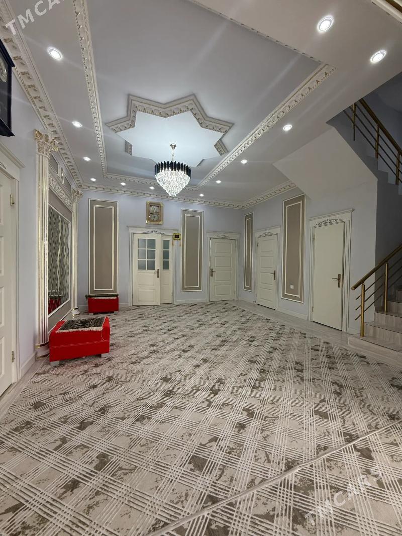 Anew Kotej  jay - Анев - img 3