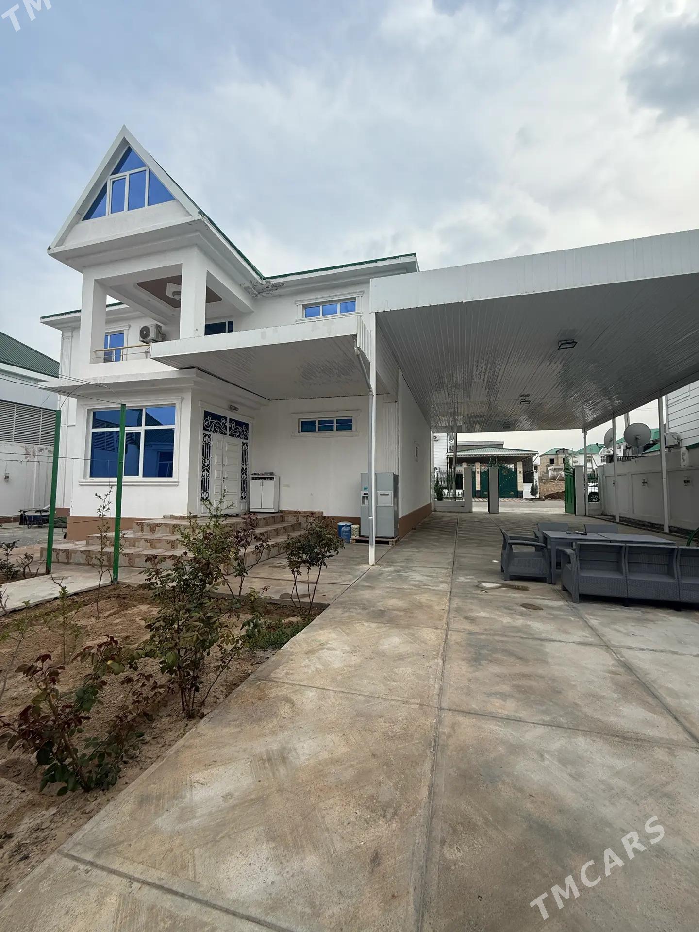 Anew Kotej  jay - Анев - img 5