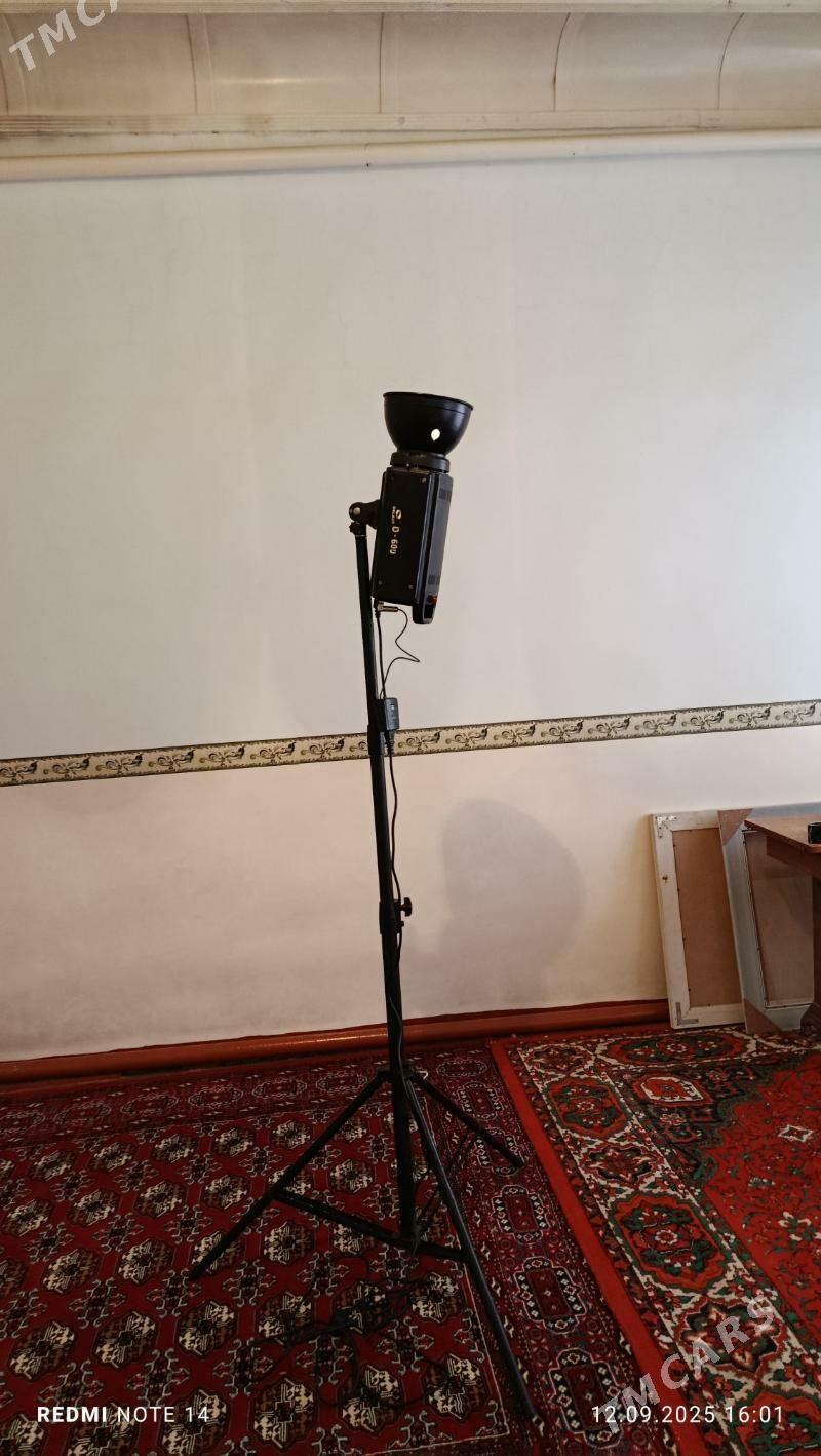Kodok Onlasr - Sakarçäge - img 2