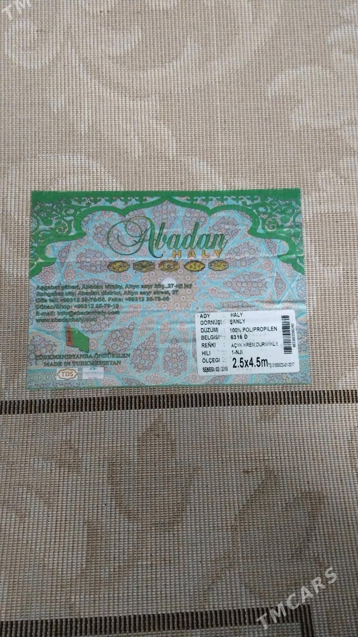 Haly - Büzmeýin GRES - img 2