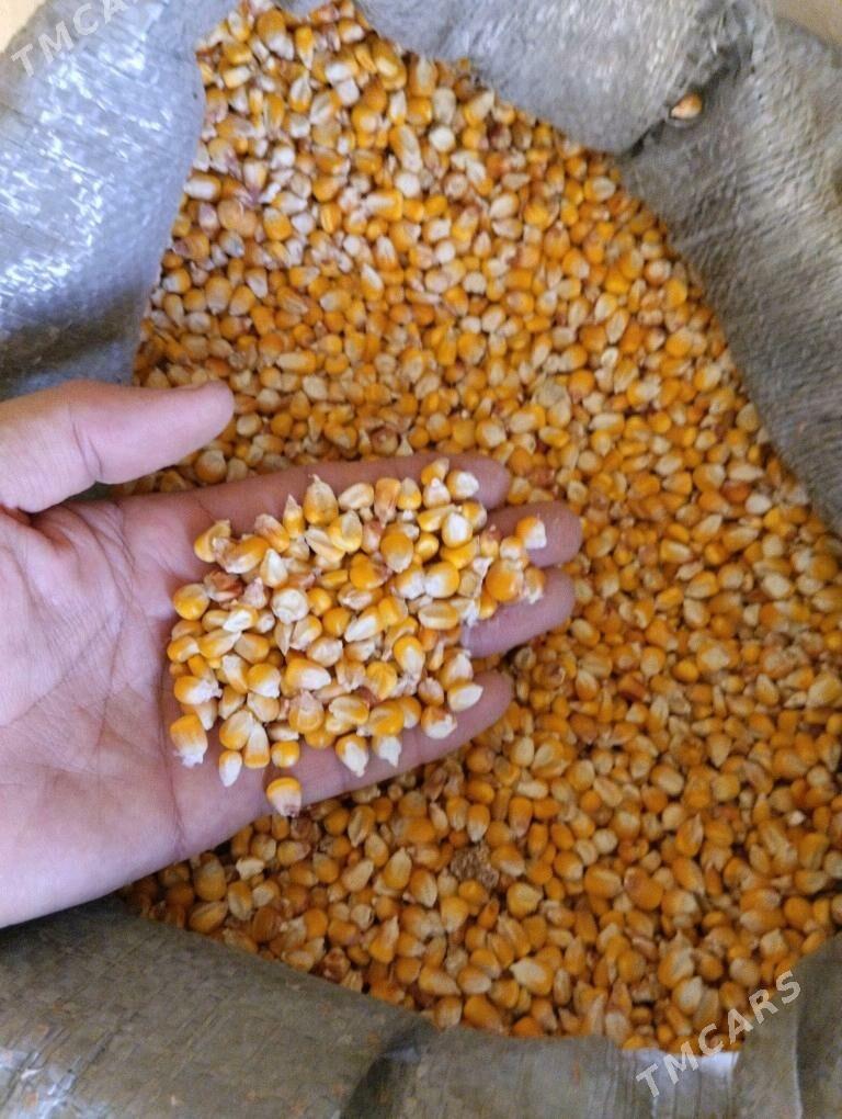 kepek, srot/ кепек, шрот - Дянев - img 2