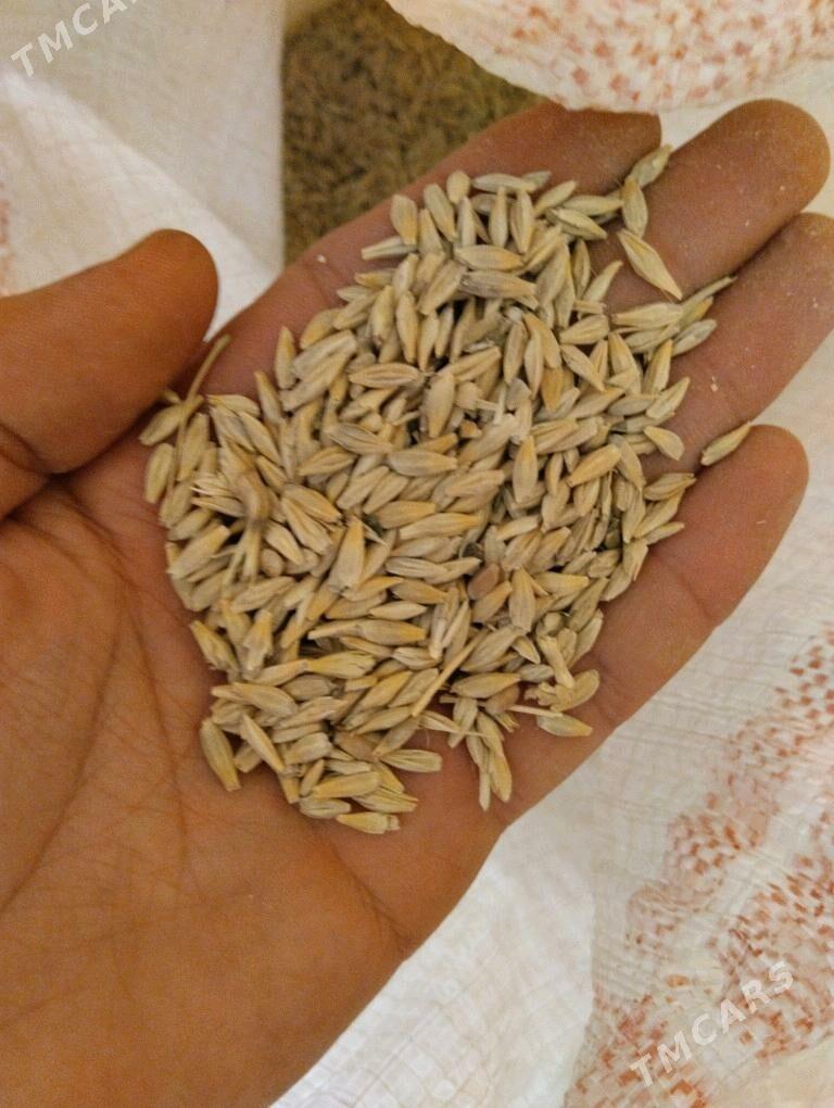 kepek, srot/ кепек, шрот - Дянев - img 1