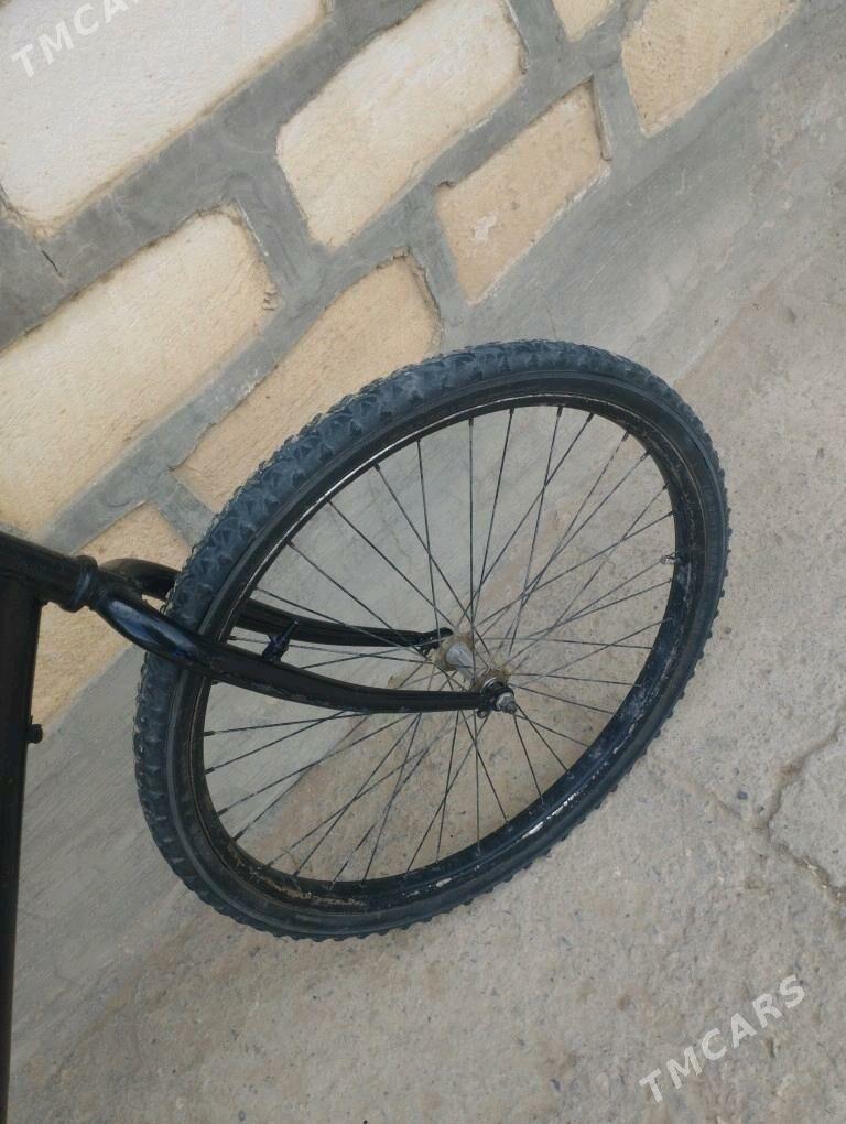 Tigir welsepet diñe admen - Gyzylarbat - img 5