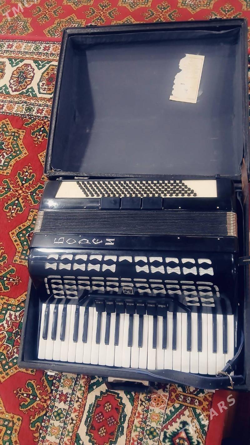 akardiyon - Daşoguz - img 10