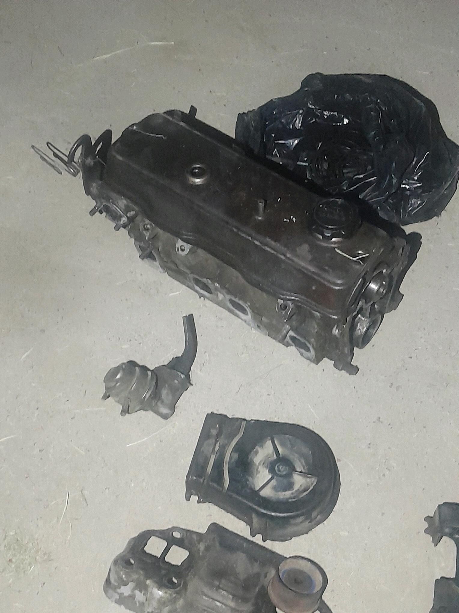 Terselin 1,3 matory 1 100 TMT - Mary - img 1