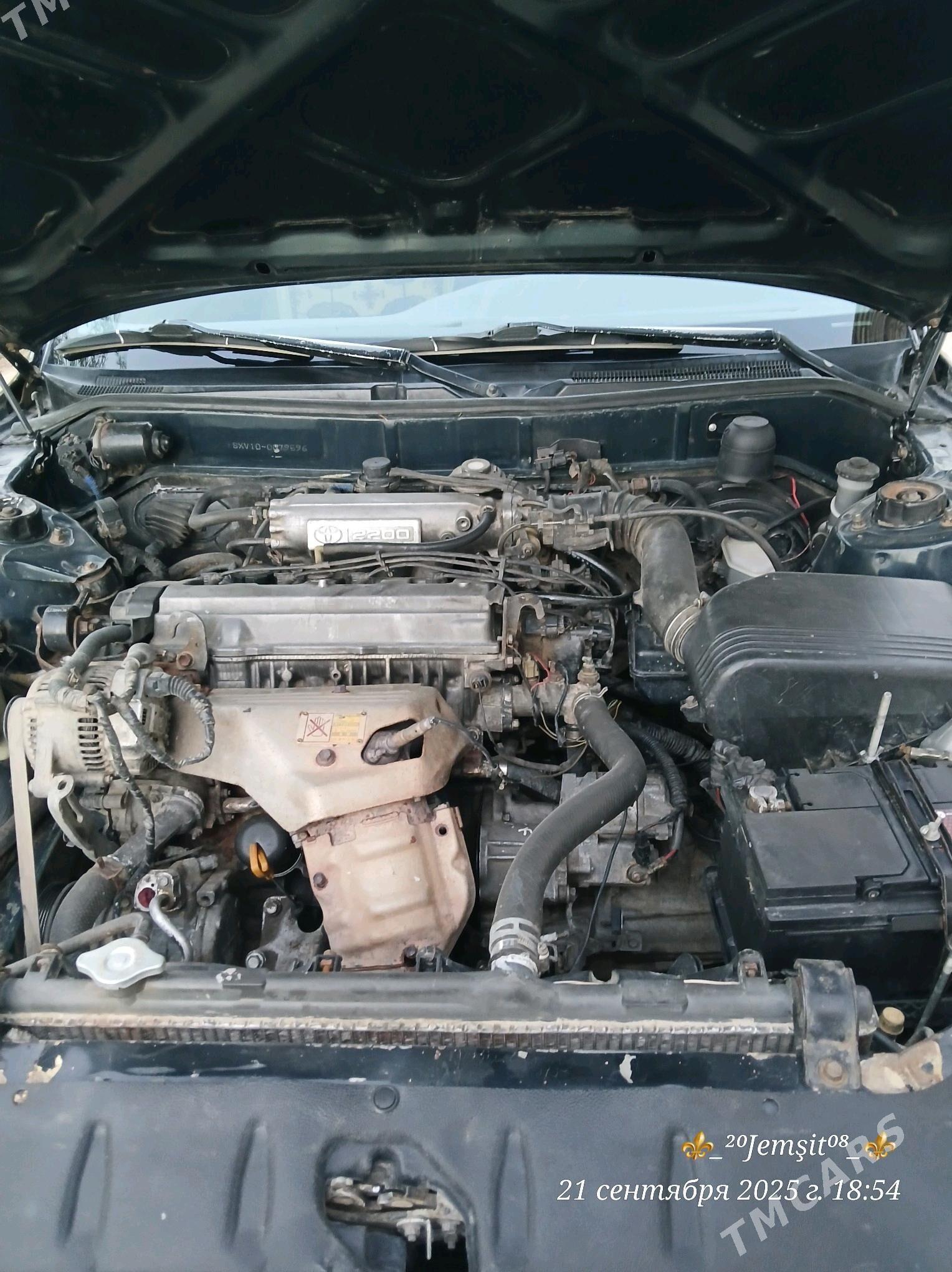 Toyota Camry 1993 - 90 000 TMT - Gurbansoltan Eje - img 5