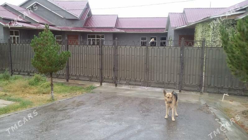 Satlyk Jaý - Мары - img 2