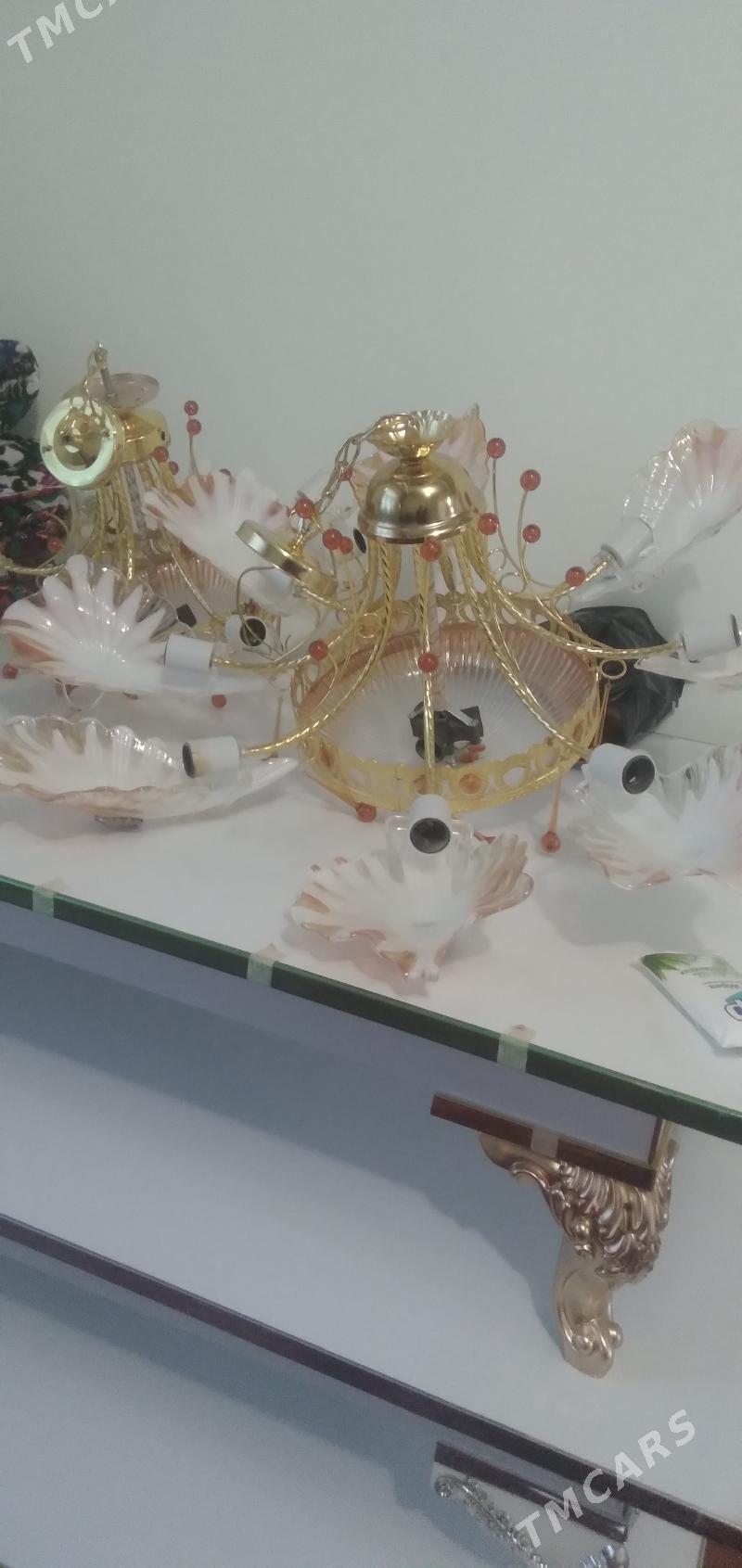 лйустра - Gurbansoltan Eje - img 2