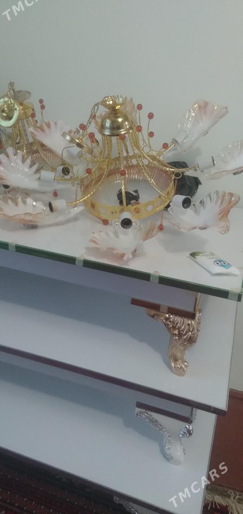 лйустра - Gurbansoltan Eje - img 3