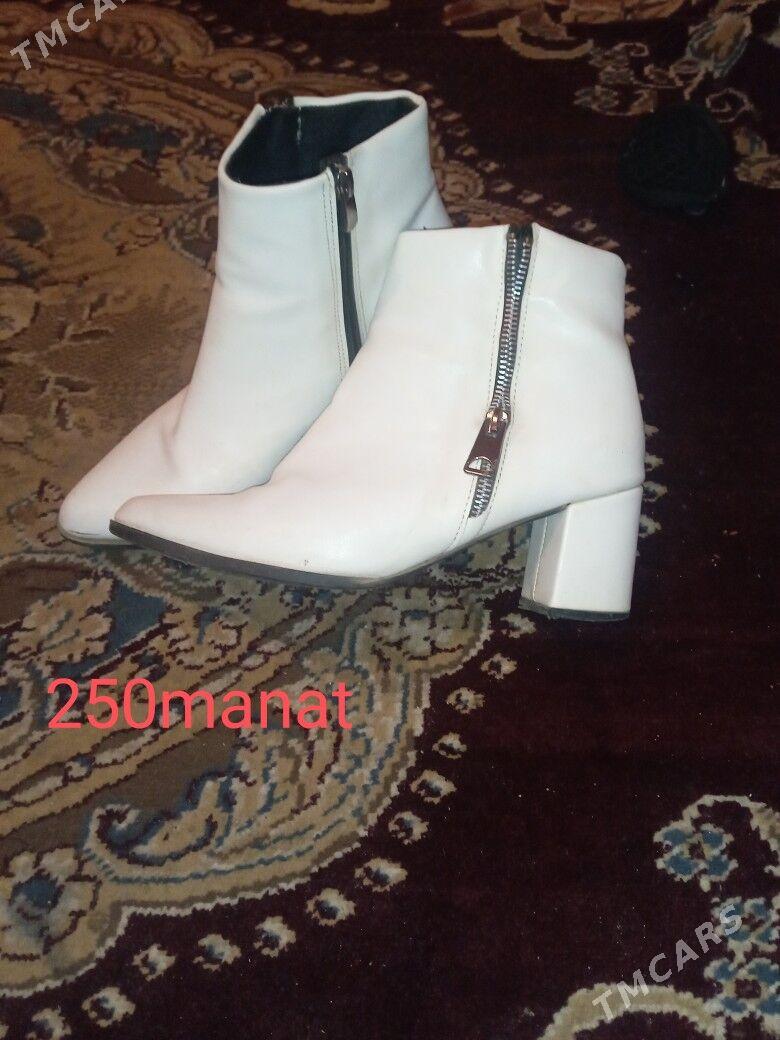 adik - Daşoguz - img 3