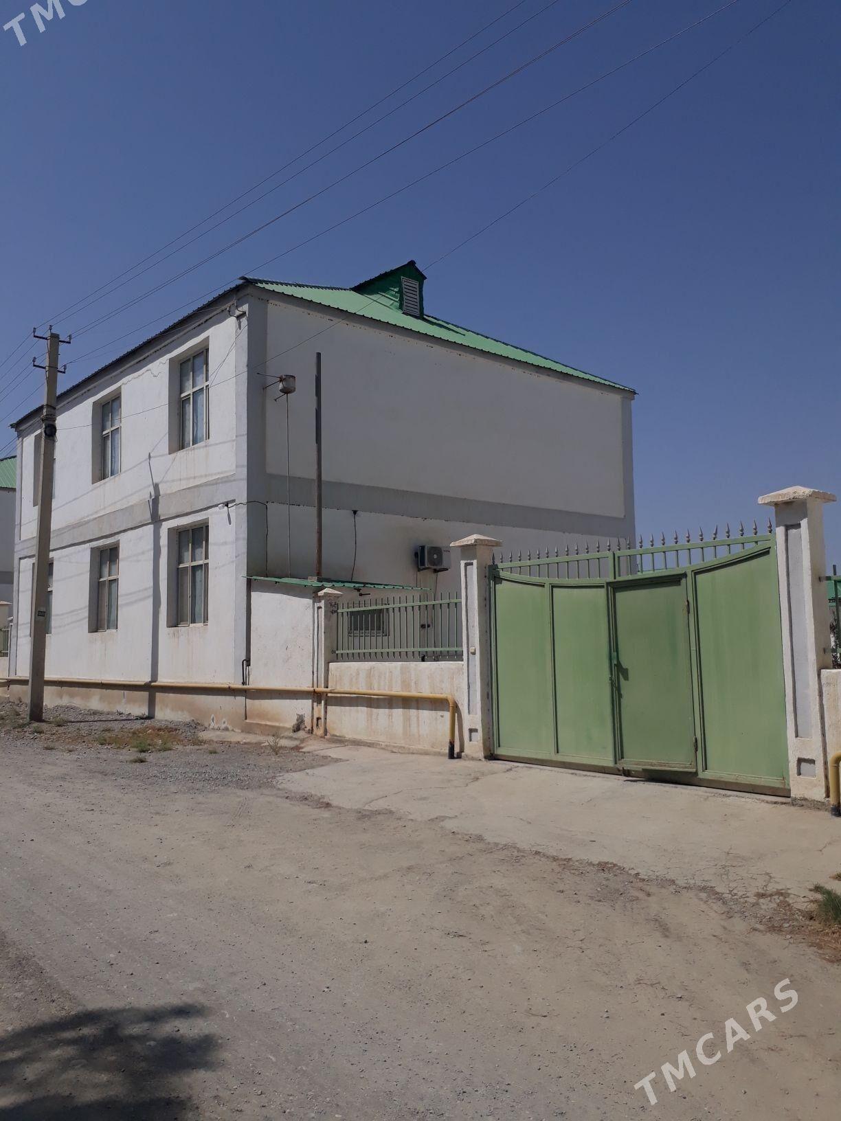 GÖKDEPE KATTEŽ - Гёкдепе - img 5
