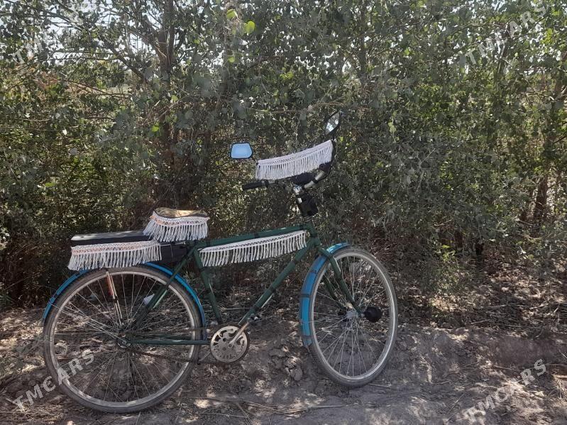 tigir - Gurbansoltan Eje - img 2