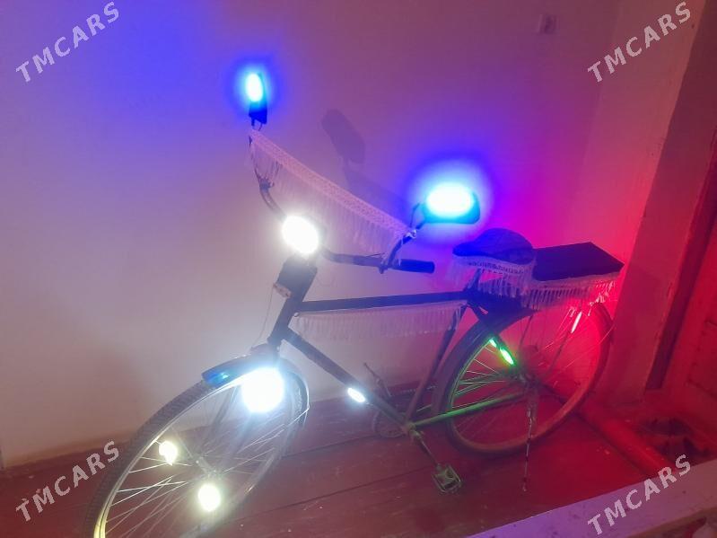 tigir - Gurbansoltan Eje - img 3