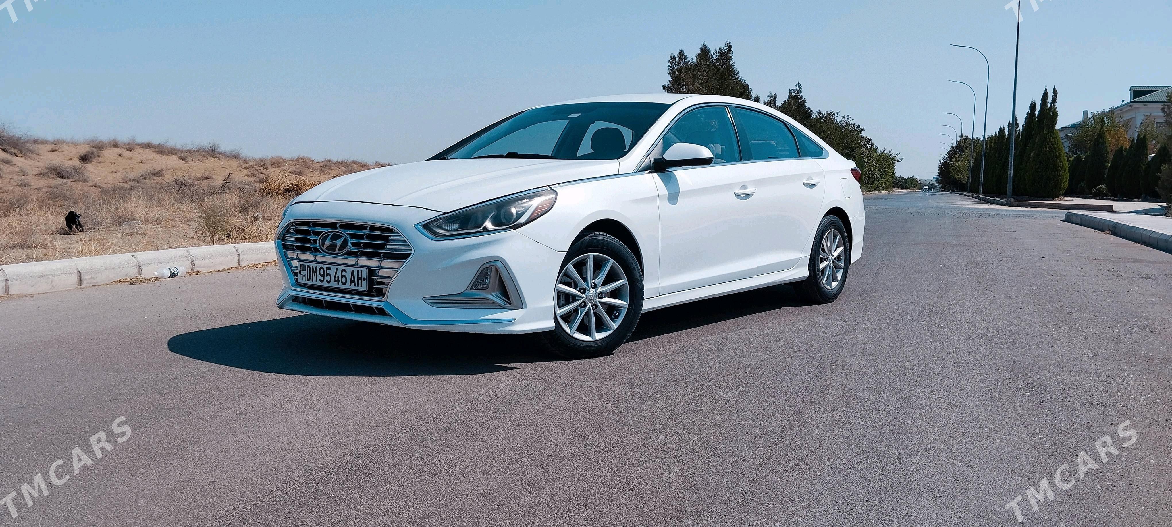 Hyundai Sonata 2019 - 195 000 TMT - Ak bugdaý etraby - img 2