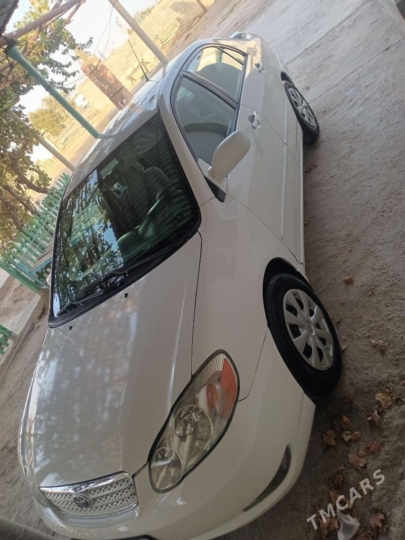 Toyota Corolla 2005 - 119 000 TMT - Гызыларбат - img 2