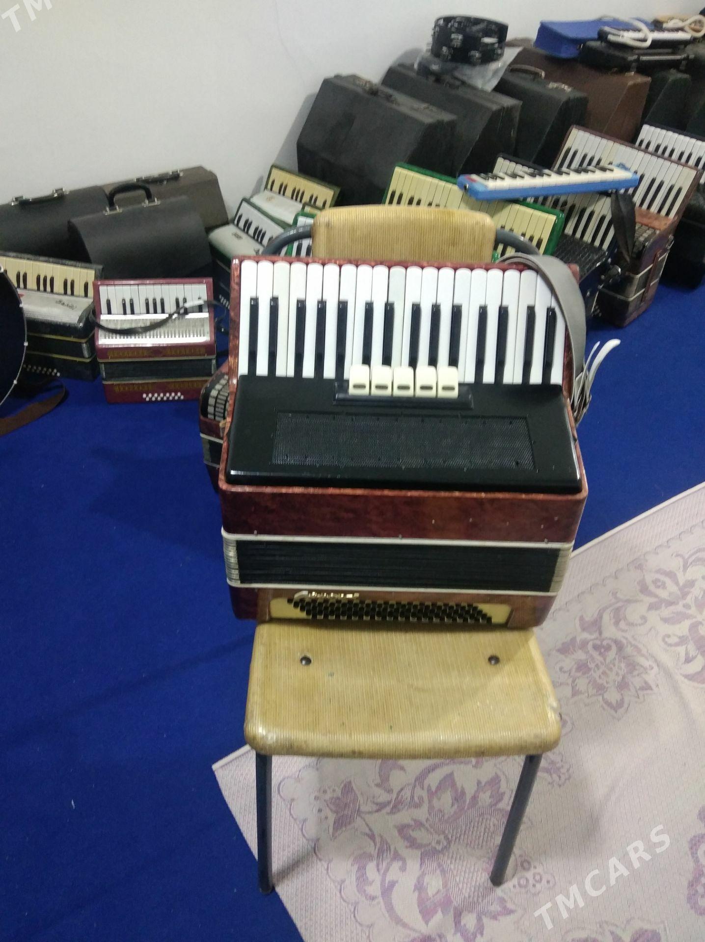 Акардион Akаrdeon - Халач - img 6