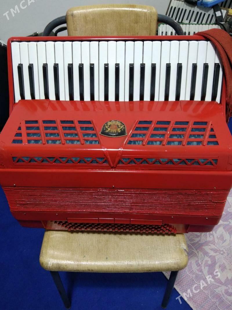 Акардион Akаrdeon - Халач - img 3